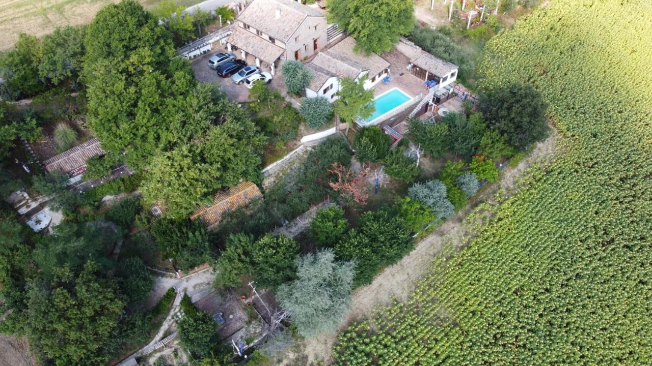 Barbagianni Villa Senigallia Ngoại thất bức ảnh