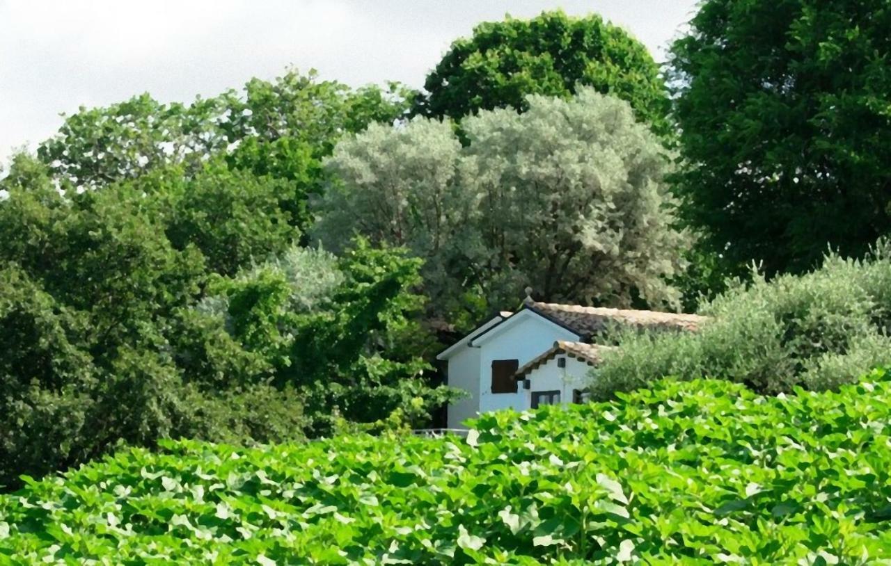 Barbagianni Villa Senigallia Ngoại thất bức ảnh