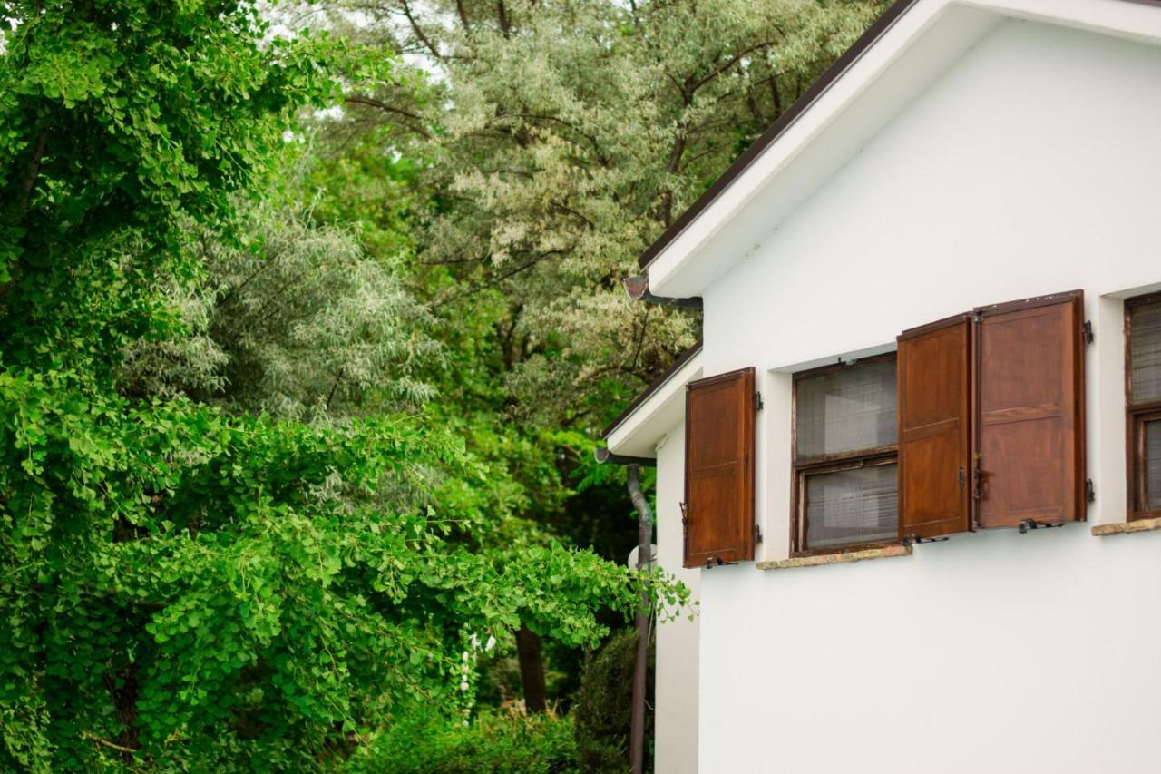 Barbagianni Villa Senigallia Ngoại thất bức ảnh